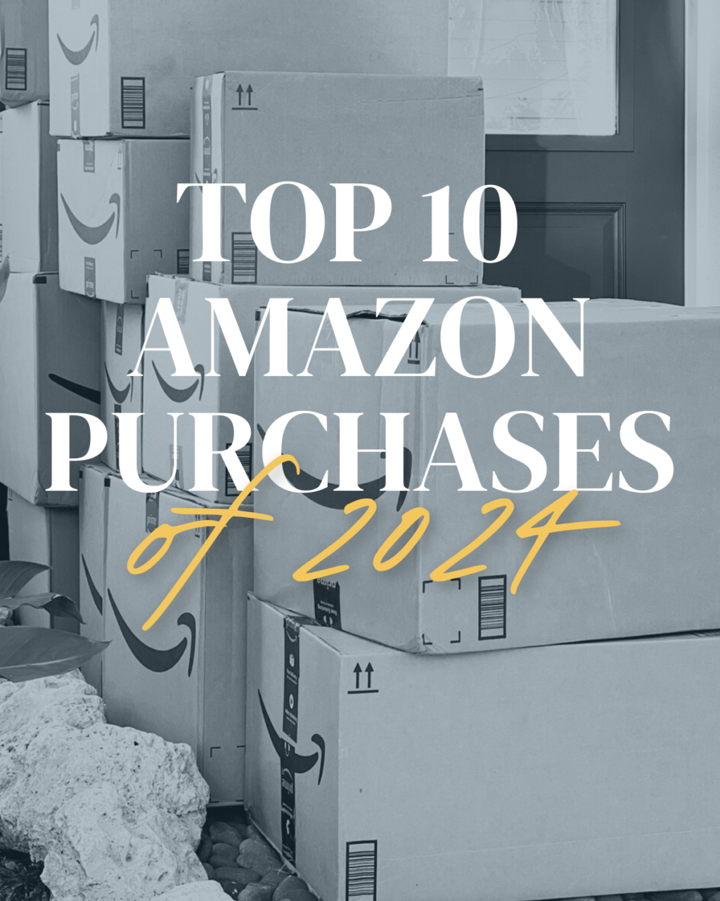 Top-10-Amazon-Purchases.png