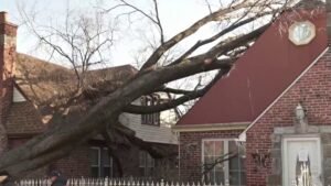 High-winds-cause-tree-to-crash-on-Queens-home.jpg