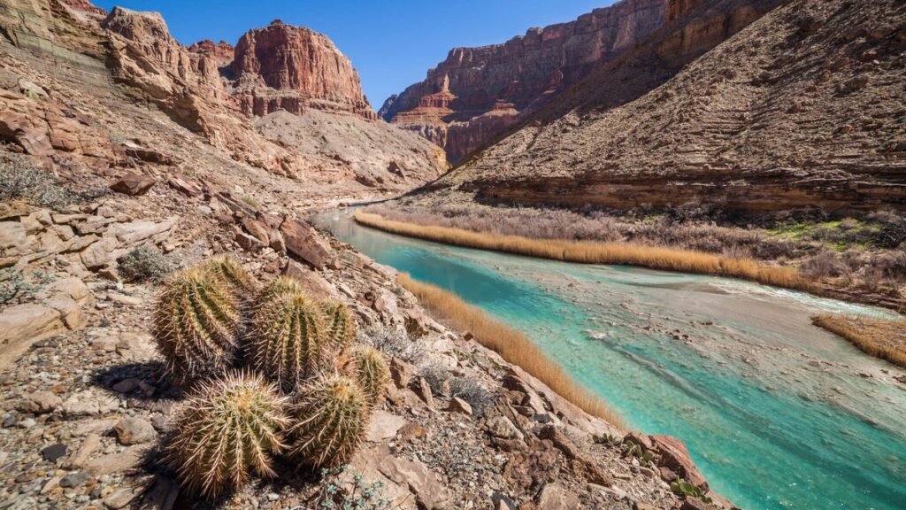 arizona-gettyimages-520754508.jpg