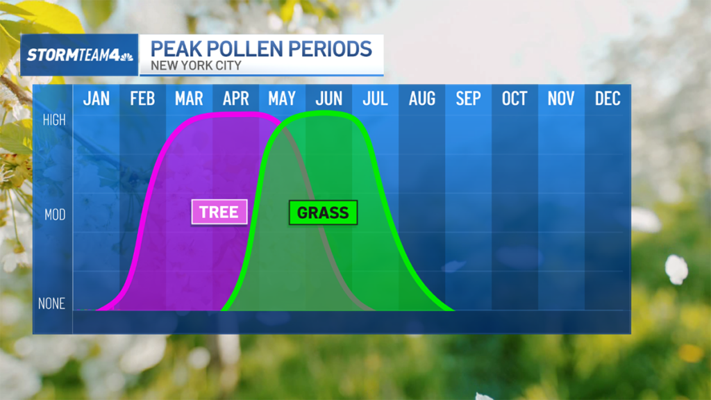 4-28-tree-and-grass-pollen.png
