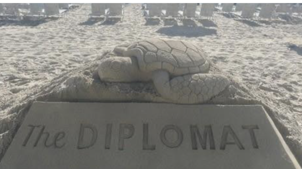 The-Diplomat-Earth-Week-Sand-Turtle.png