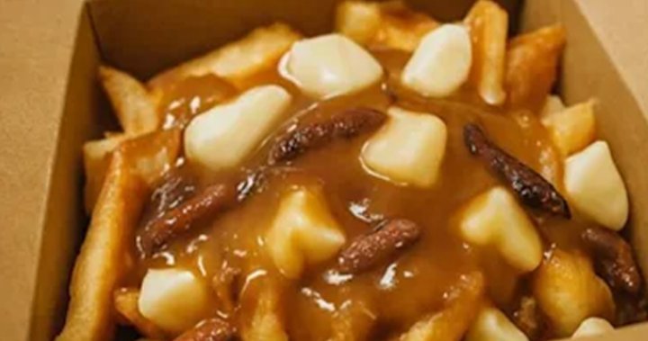 bug-poutine-1.jpg