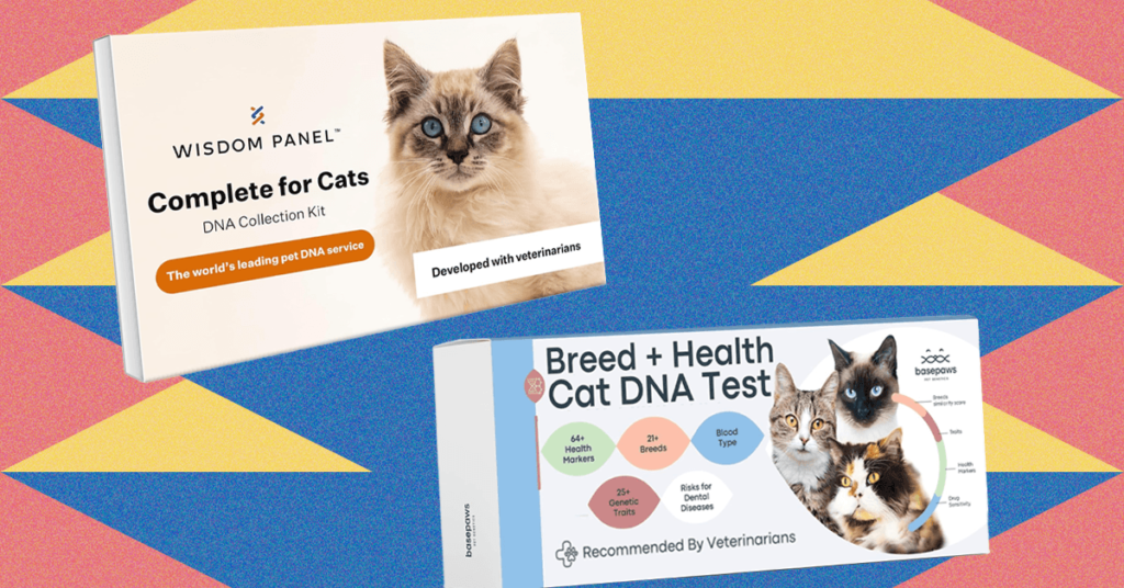 The20Best20At-Home20Pet20DNA20Test20Kits20Tested20on20My20Cats.png