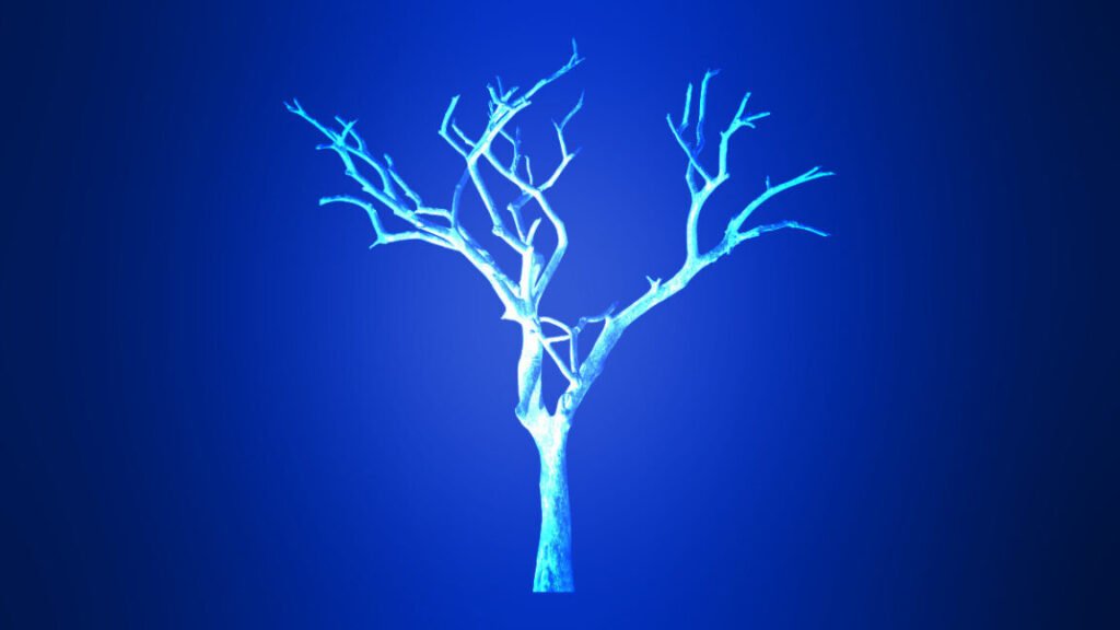 branch_2-1152x648.jpg