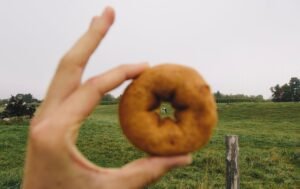 vermont-cider-donut.jpg