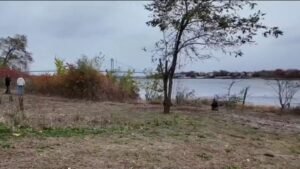 Queens-residents-accused-of-illegally-chopping-down-trees-to-get-waterfront-views-1.jpg