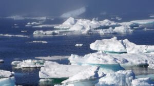 greenland-icebergs.jpg