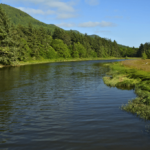 How California Rural Residents Are Benefitting from Digital IOP for Psychological Well being