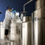 This is why some individuals select cryonics to retailer their our bodies and brains after dying
