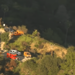 Hiker harm making an attempt to avoid wasting canine on Mt. Wilson Path – NBC Los Angeles