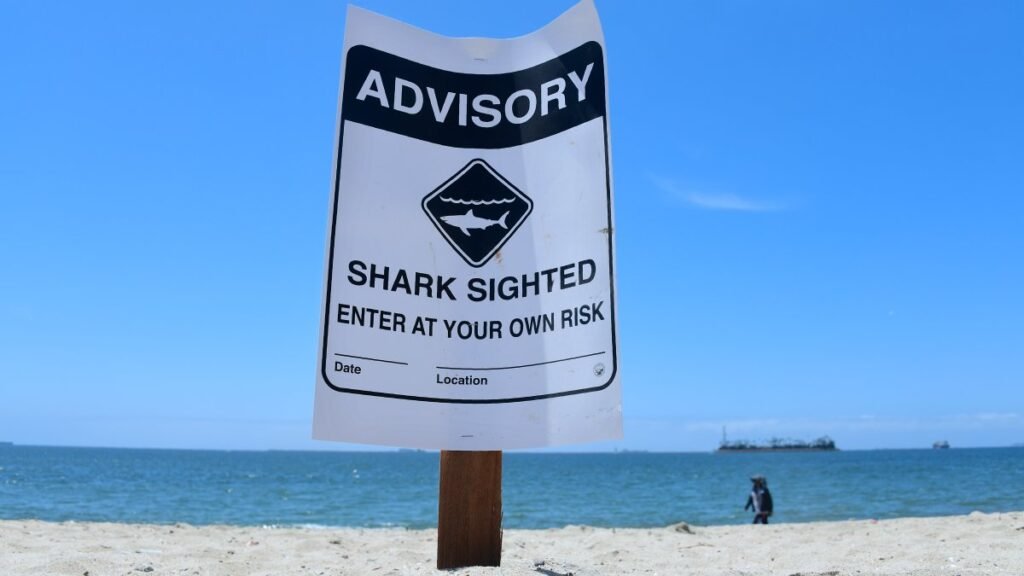 Shark-Advisory-1.jpg