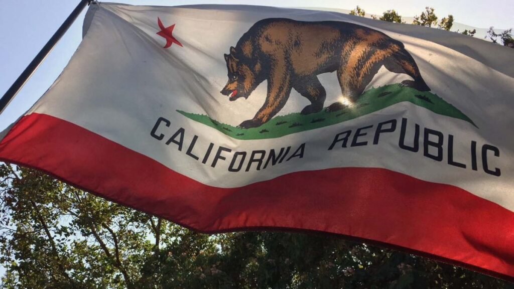 california-symbols-flag-4.jpg