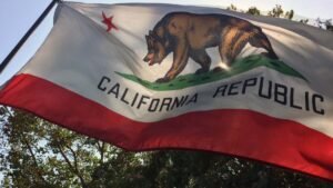 california-symbols-flag-4.jpg