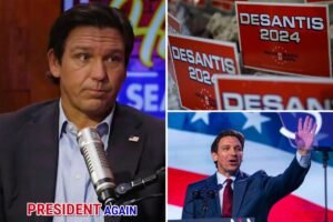 desantis-comp.jpg