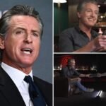 Newsom’s gun legal guidelines complicate firearm present from podcaster Shawn Ryan