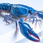 OpenClaw offers customers but one more reason to be freaked out about safety