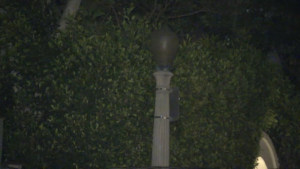 streetlight.png
