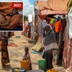 Famine threat threatens components of Somalia for first time in 4 years