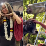 From road cows to diyas: 5 issues this German lady misses about India