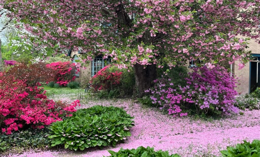 Neighbors-garden-scaled-2.jpeg