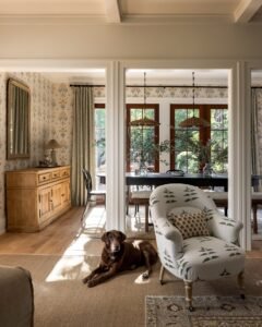 dog-in-living-room.jpg
