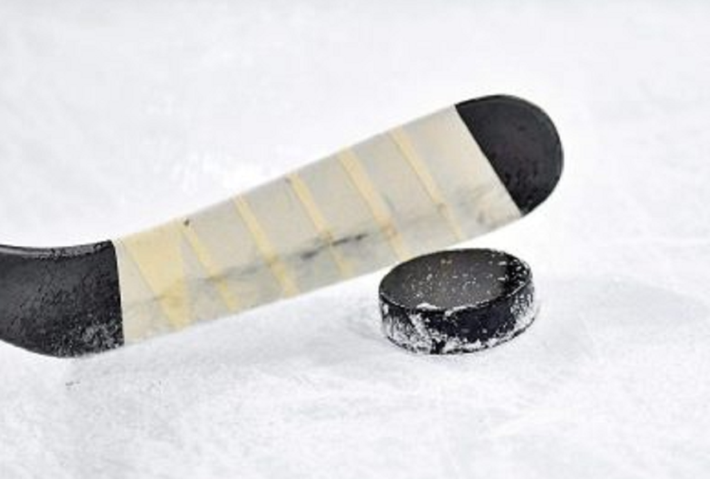 hockeystickfile.png