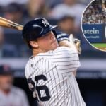 DJ LeMahieu employed as supervisor of summer season faculty baseball staff