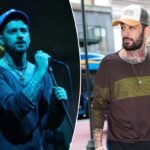 Zayn Malik cancels sellout US tour dates amid well being struggles