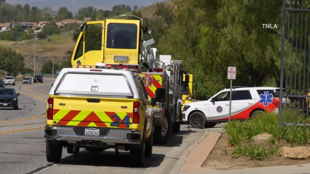 rattlesnake-bite-simi-valley.png