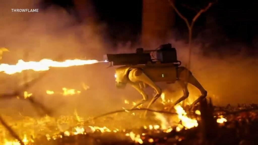 robots.jpg