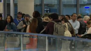 tsa.jpg