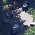 Search underway in Franklin after driver flees Bellingham police