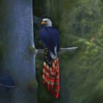 Coral Springs Museum of Artwork Celebrates America 250