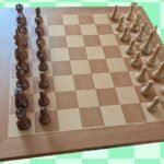 Finest Good Chess Boards (2026): Chessnut, Millennium