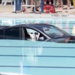Connecticut man rescued after automotive lands in public pool