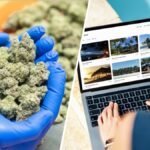 LA voters approve taxes on journey websites, hashish outlets – NBC Los Angeles