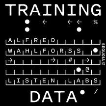 training_data-fBpC2BJB_216px.jpg