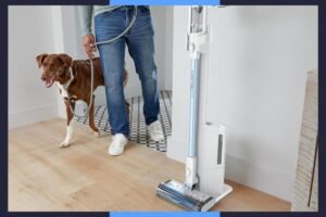 vacuum-deals-new-.jpg