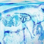 Supercooled kidneys have been transplanted into pigs in a “landmark achievement”