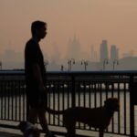 How wildfire smoke assaults the physique – NBC Los Angeles