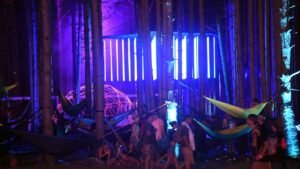Electric-Forest-music-festival-Michigan.jpg