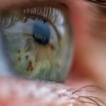 A tool that revives eyeballs from lifeless donors may make eye transplants potential