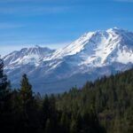 2 U.S. Forest Service staff rescued after being held hostage – NBC Los Angeles