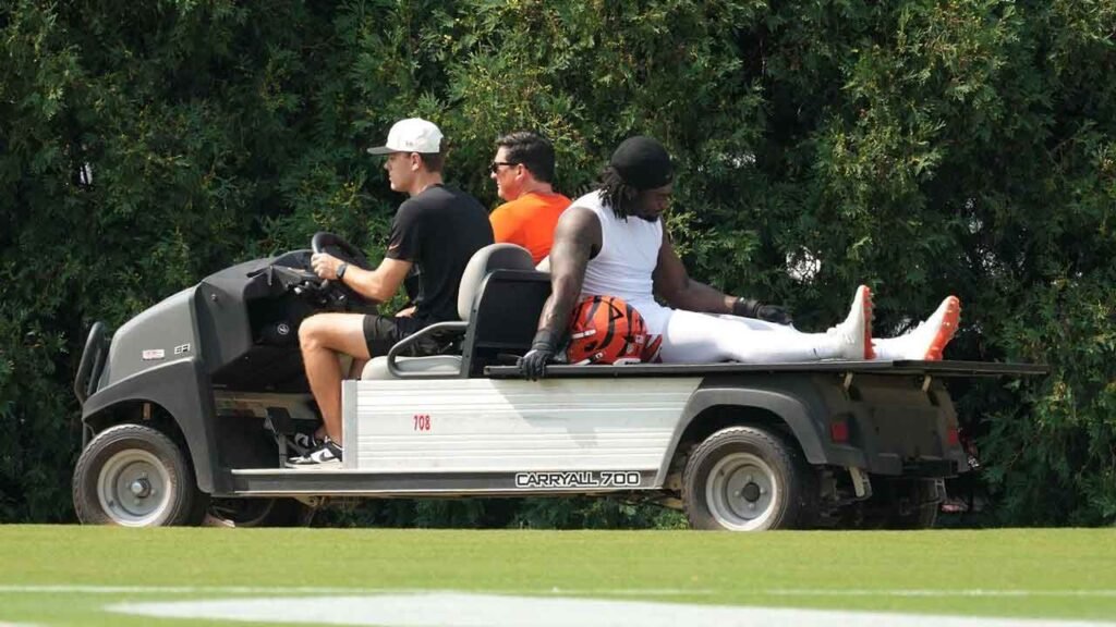 bengals-stewart.jpg