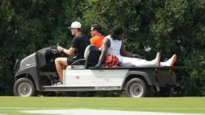 bengals-stewart.jpg