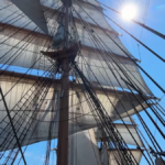 e018b713-a3e7-4e16-800a-670b68838101.png