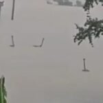 Horrified villagers dwelling in concern after lots of of venomous snakes escape farm as floodwaters crush metropolis