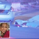 Sufferer in chilling Chino Hills trunk homicide pictured as disturbing particulars emerge in kidnapping plot