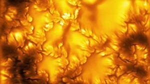 504d2694-303f-4053-8414-d2ef91f5d461.jpg
