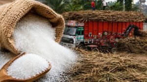 6a8eda36a2a56-india-to-release-export-bound-sugar-locally-as-festival-demand-drives-prices-higher-26.jpeg